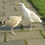 Sonnenschein Wittmund
