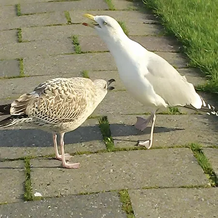 Sonnenschein Wittmund