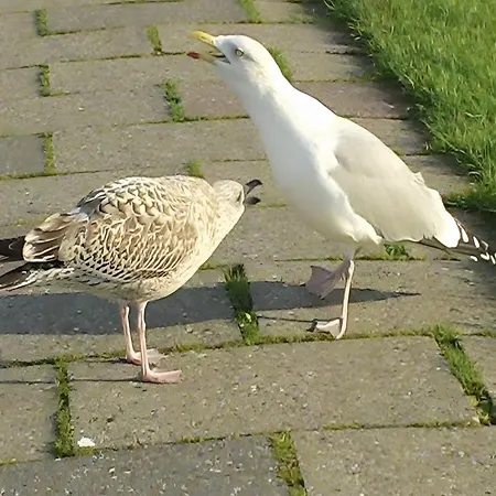 Sonnenschein Wittmund