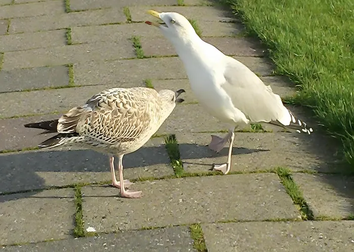 Sonnenschein Wittmund